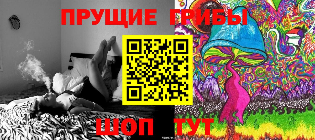 Архангельск  даркнет сайт  Вход с VPN  Псилоцибиновые грибы мицелий 